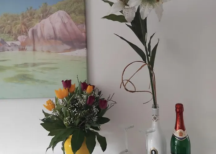 Schmidt Appartamento