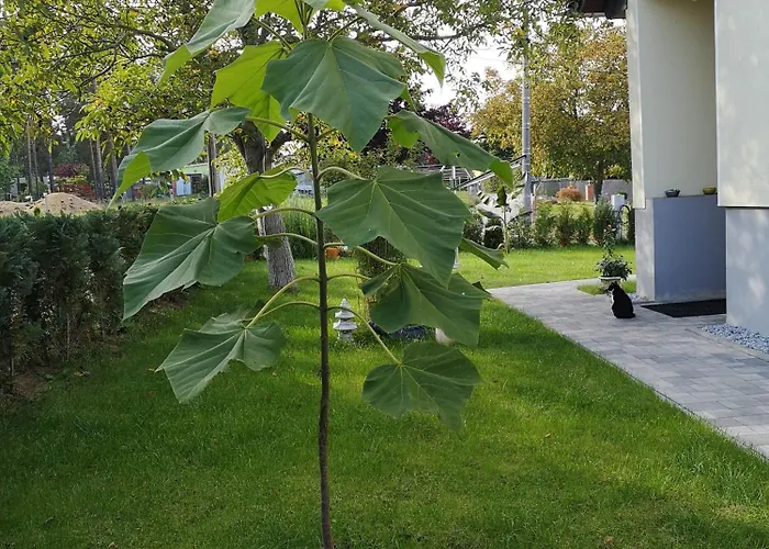 Schmidt Appartamento Sdier